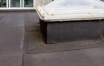 disadvantages of Insh flat roofs